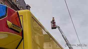Dresden: Feuerwehr kommt wegen Quarantäne-Spaziergang auf Dach | Regional - BILD