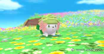 Pokemon Brilliant Diamond and Shining Pearl: How to Get Shaymin     - CNET
