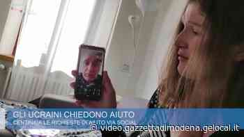 Modena, le richieste di aiuto via social dall'Ucraina - Gazzetta di Modena