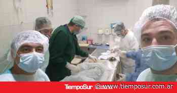 Jóvenes antigüenses se capacitan en zoonosis en Santa Fe y Buenos Aires - Tiempo Sur