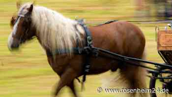 Kutschenpferde gehen durch - Frau (53) aus Deutschland wird 250 Meter mitgeschleift