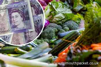 Food and Drink Cornwall plans receive funding - Falmouth Packet