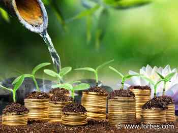 Impact Investment Fund Managers Turn Agri-Food Investment Into A “Mindful” Practice - Forbes