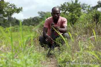 In Nigeria, Banditry Has Become A Major Threat To Food Security - Forbes