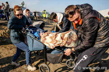 World Food Programme set to assist people affected by conflict in Ukraine | World Food Programme - WFP