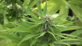 House Republicans kill bill to speed retail marijuana sales - WHSV