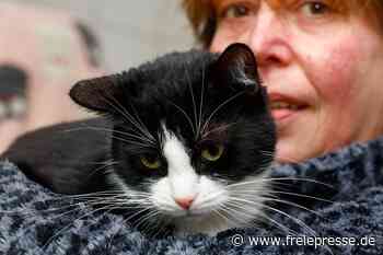 Tierheimmitarbeiter sorgen sich um einige Schützlinge besonders - Freie Presse