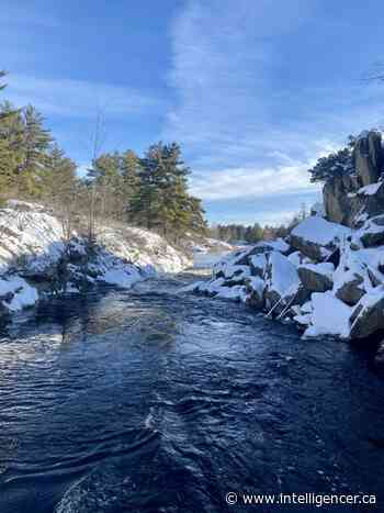 OPP investigating camper found dead at Depot Lakes Conservation Area - Belleville Intelligencer