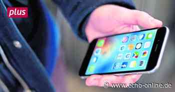 Onlinehilfe zum Berufsstart aus Lampertheim - Echo Online