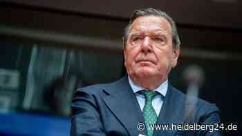 SPD Heidelberg: Wegen Haltung zu Putin – Knallhart–Ultimatum an Gerhard Schröder - heidelberg24.de