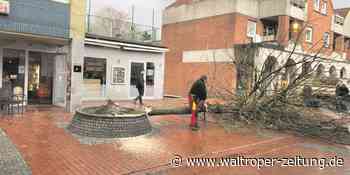 Protest half nicht – die Bäume in der Waltroper Innenstadt sind gefällt - Waltroper Zeitung