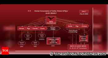 COVID 19 : The Architecture of Respiratory Pandemics - Times of India