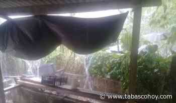 Sorprenden chubascos en Macuspana - tabasco hoy