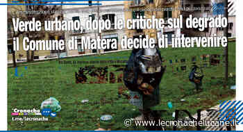 VERDE URBANO, DOPO LE CRITICHE SUL DEGRADO IL COMUNE DI MATERA DECIDE DI INTERVENIRE - Cronache TV
