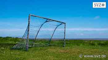 Polizeireport Parchim: Mann wollte Rohre von Fußballtor klauen | svz.de - svz – Schweriner Volkszeitung
