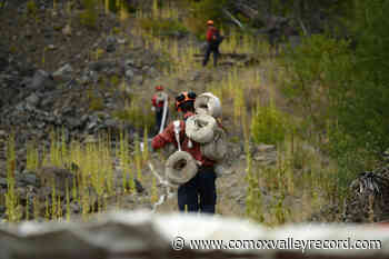 Climate change report a grim warning for Canada - Comox Valley Record