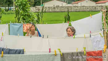 Florence Korea Film Fest 2022, dal 7 aprile anche su MYmovies - MYmovies.it