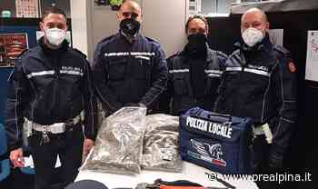 Saronno, trovati due chili di marijuana - La Prealpina