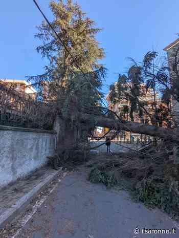 Ieri a Saronno: i danni causati dal vendo con traffico in tilt, botte al Matteotti, ecco il nuovo comandante della polizia - ilSaronno