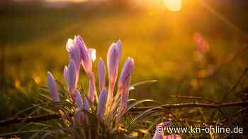 Wetter zum Frühlingsanfang: Es bleibt kalt – aber sonnig