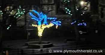 Sutton Harbour turns blue and yellow to show support for Ukraine - Plymouth Live