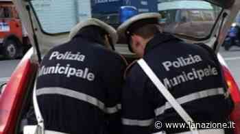 Prato, guida auto rubata con targhe clonate: denunciato - LA NAZIONE