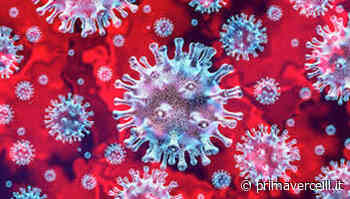 Covid Vercelli: un decesso, 65 nuovi casi e 102 guariti - Prima Vercelli