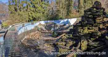 Umbau im Zoo Neunkirchen: Das sind die Pläne im Pavian-Gehege - Saarbrücker Zeitung