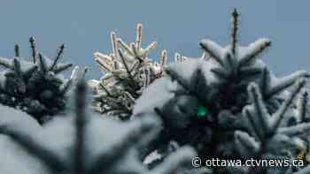 Ottawa weather: Cloudy skies and snow on Tuesday - CTV Edmonton