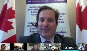 Mendicino says truckers in Ottawa were rapists - Western Standard