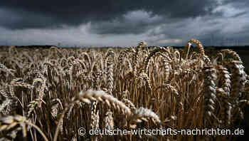 Inflation in Deutschland steigt auf 5,1 Prozent und wird hoch bleiben