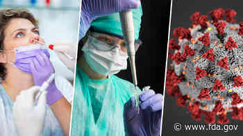 COVID-19 Test Basics