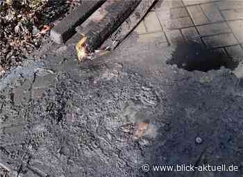 Andernach: Schwerer Vandalismus an Christuskirche - Blick aktuell