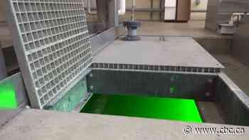 Latest wastewater studies show COVID-19 levels remain high in Saskatoon, Regina