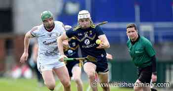 A dash of Pepper helps Egan maintain Wexford's winning formula. - Irish Examiner