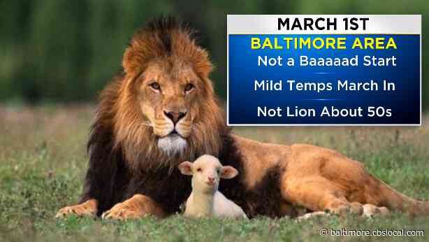 Maryland Weather: March Begins On A Mild Note