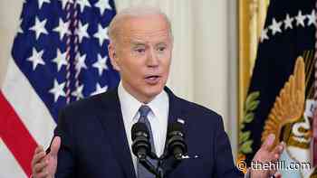 Democratic poll finds partisan split on Biden's response to Russia-Ukraine