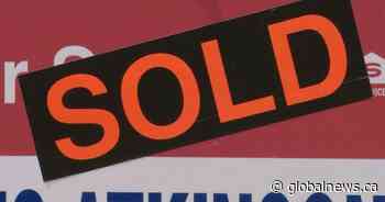 Looking for a home in Calgary? Experts share the secrets to winning a bidding war - Global News