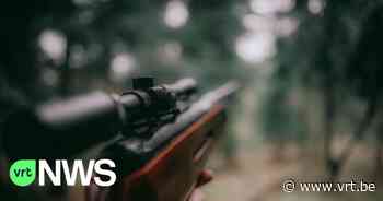 Mol start onderzoek naar jagers die tamme zwijnen toch doodschieten - VRT NWS