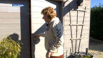 Silke uit Tielt-Winge heeft één van de grootste Playmobil-verzamelingen van ons land. - ROB-tv