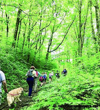 Above the Waterline: Wilderness trail may receive national recognition - Reporter Newspapers