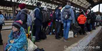 Spenden und Sachspenden Ukraine: So können Sie in Kiel und Region helfen und spenden - Kieler Nachrichten