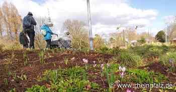 Auf zum Frühlingsspaziergang im Luisenpark - Mannheim - DIE RHEINPFALZ - Rheinpfalz.de