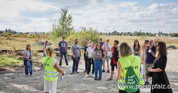 Vor der Gartenschau: Führungen über Spinelli-Gelände - Mannheim - Rheinpfalz.de