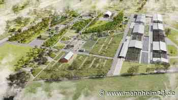 BUGA23 in Mannheim: Seilbahn kommt – was zum Mega-Highlight bekannt ist - mannheim24.de