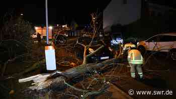 Sturmtief sorgt für zahlreiche Einsätze in Mannheim, Heidelberg,Rhein-Neckar-Kreis, Neckar-Odenwald-Kreis - SWR Aktuell