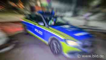 Mannheim: Friedhofs-Fahndung: Unbekannte verwüsten 36 Urnengräber | Regional - BILD