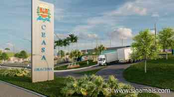 Dracena apresenta projeto para construção de Ceasa municipal - Siga Mais