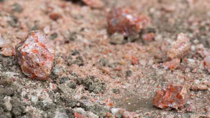 Fertilizer stocks soar over Ukraine worries