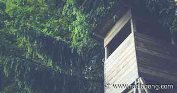 Volkach: Erfahrener Jäger verantwortlich für… - 106,9 Radio Gong